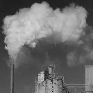 kansas plant vapor