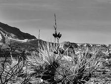 scotts bluff county
