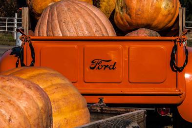 orang pumpkin old ford